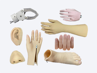 Prosthetic limb Prosthetic limb