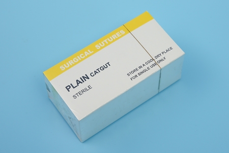 plain catgut surgical suture